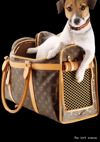 PET LV CUSTOM BAG 0501